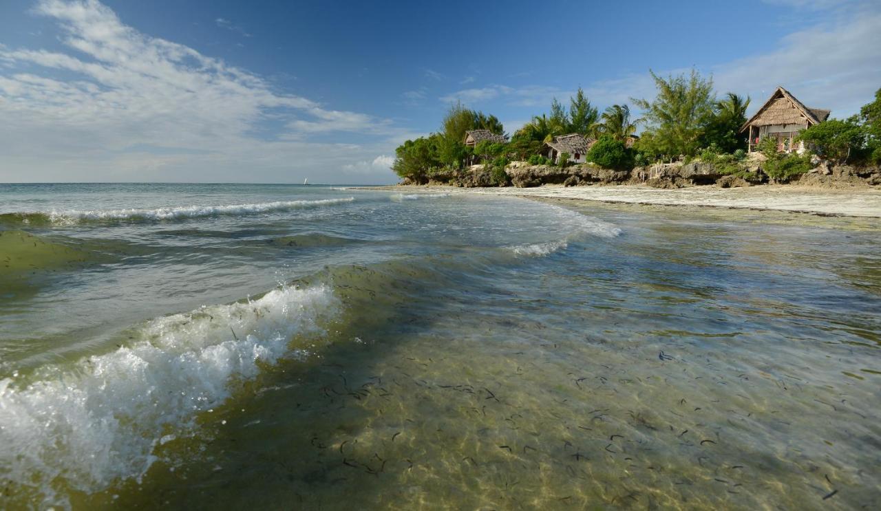 Afya Village At The Sea Michamvi Kae Exterior photo