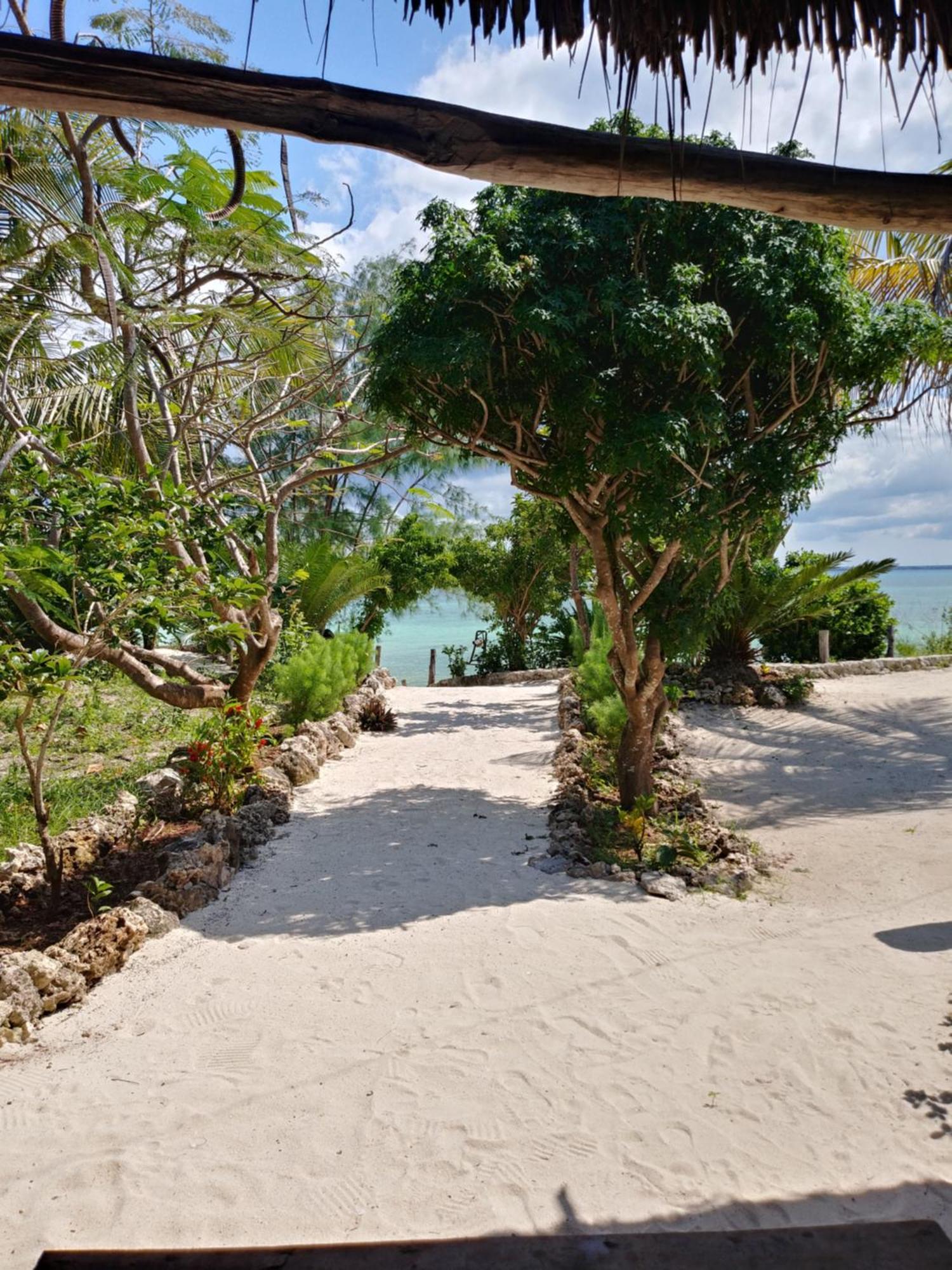 Afya Village At The Sea Michamvi Kae Room photo